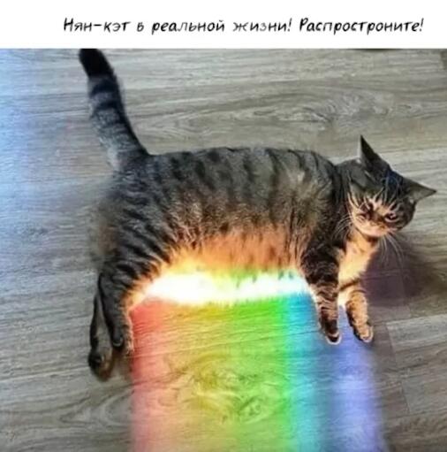 Мем без подписи