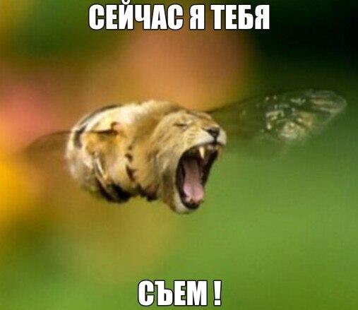Правда