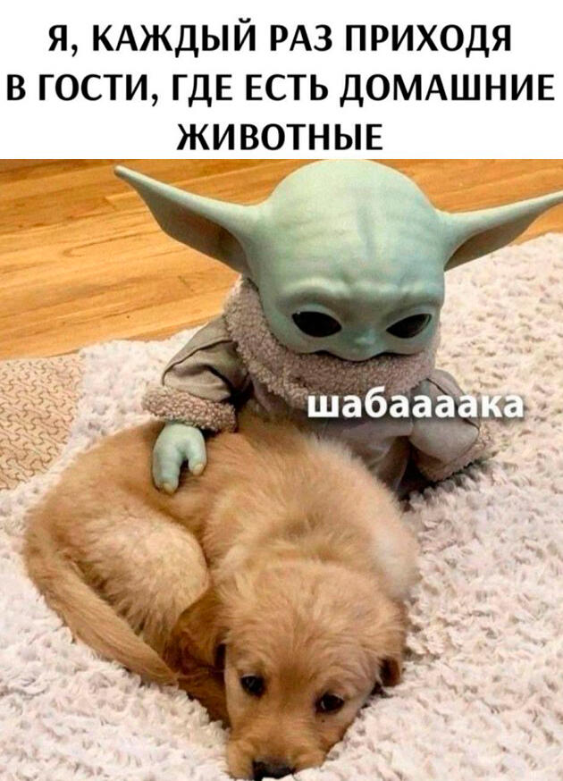 Мем от Фантоккио Великий