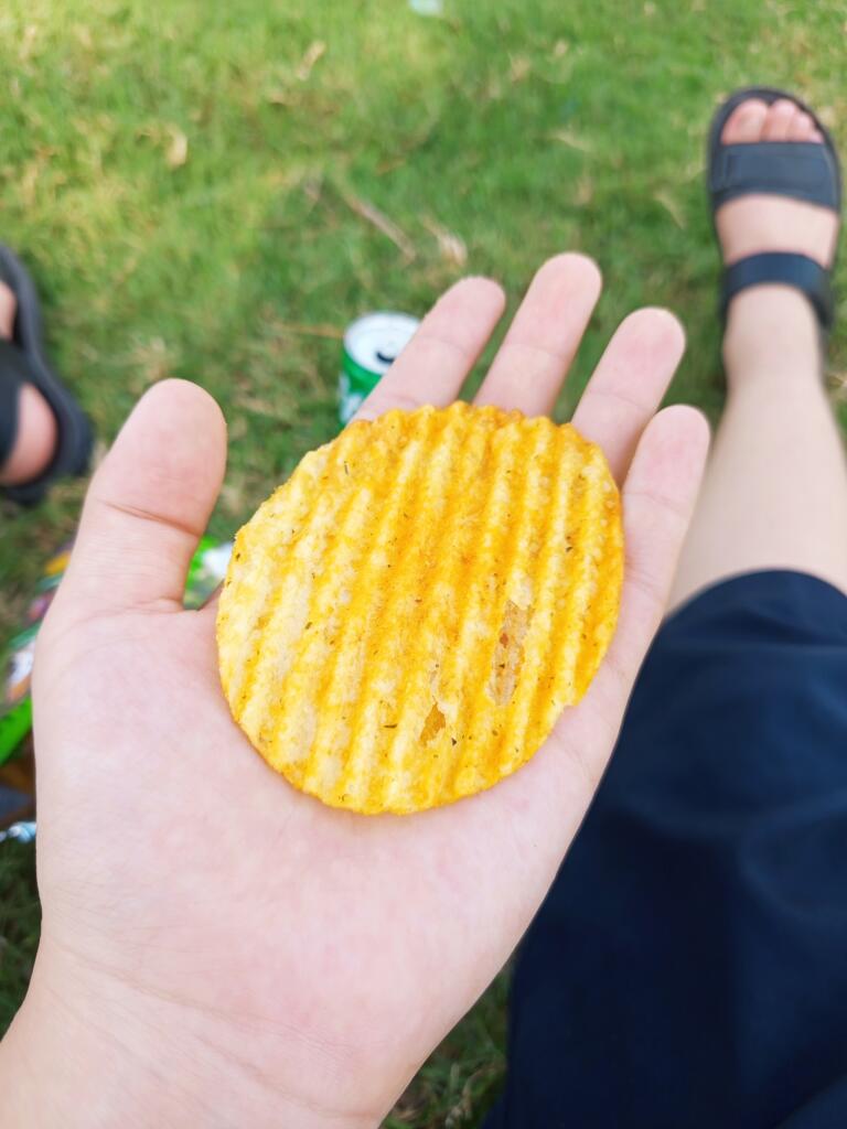 Вот это чипсина.
Фото старое