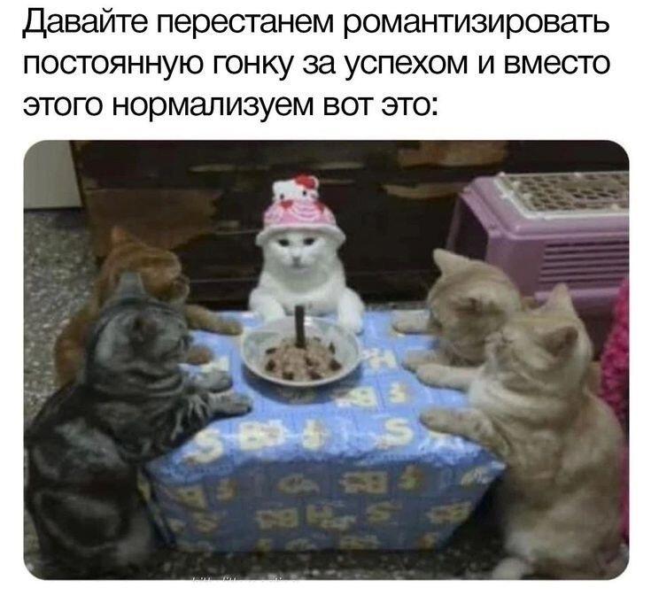 😻