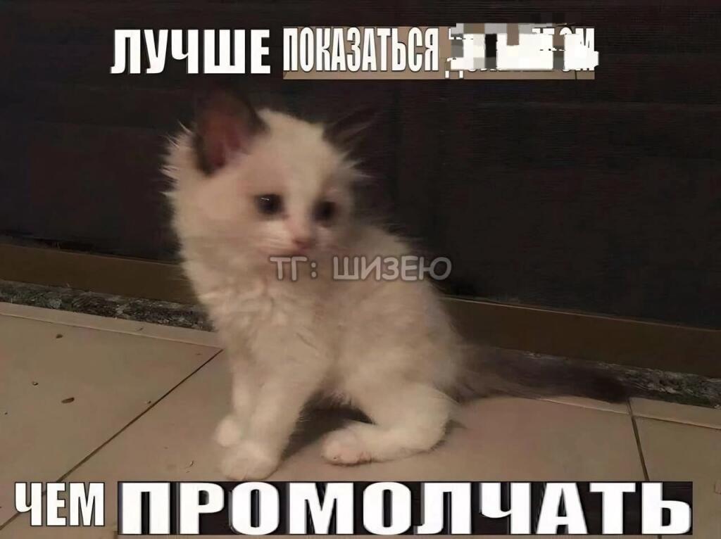 Как и обещал, вот вам несколько интернет мемов) (брал рандомные +- оды...