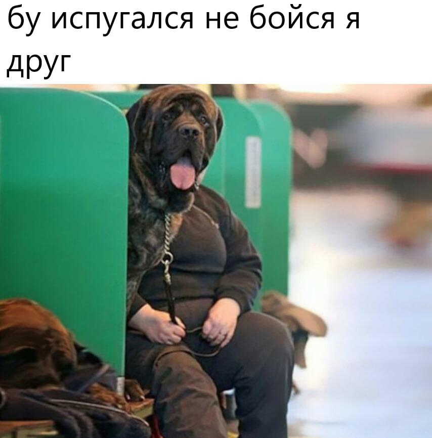 Мем без подписи