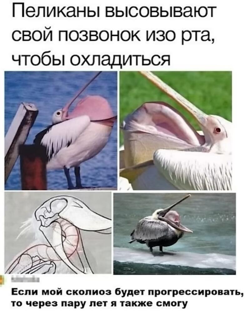 Ё маё, какая же жиза 🤣🤣🤣🤣