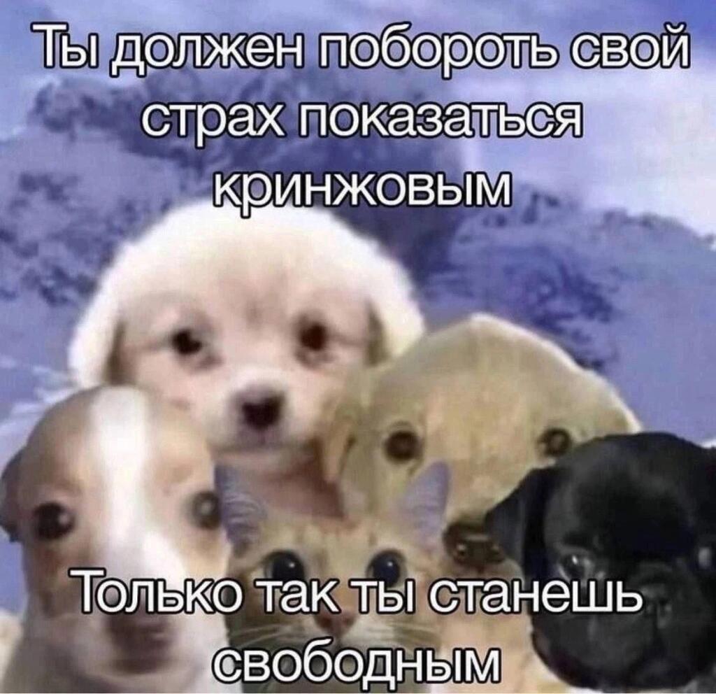 Мем без подписи