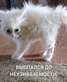 ето я перед школой каждый день: