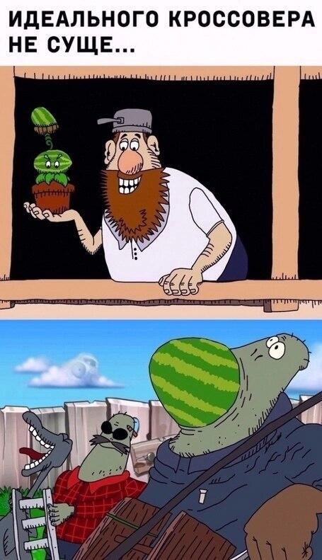 Мем без подписи