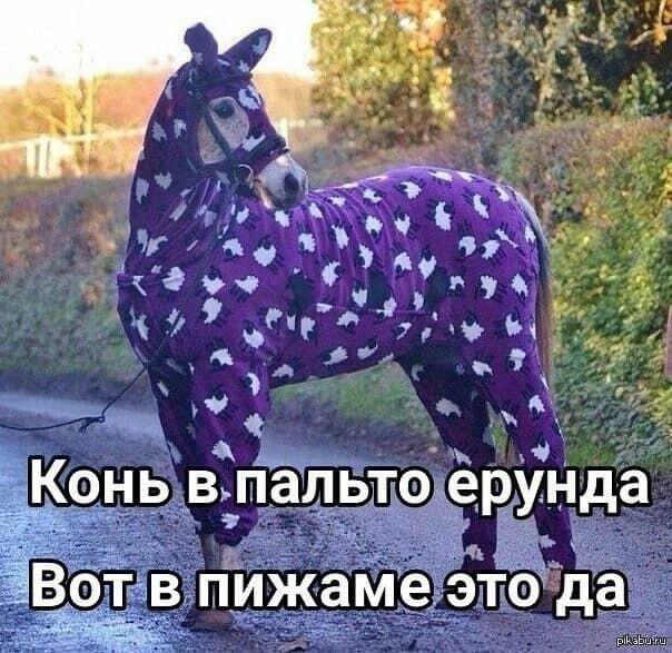 А чо, мило выглядит)