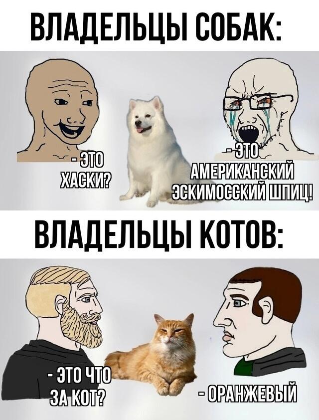 Заключительный, 100 пост с мемами и приколами, почему заключительный?...