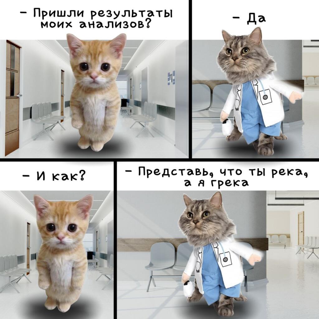 Мем от misfortune official
