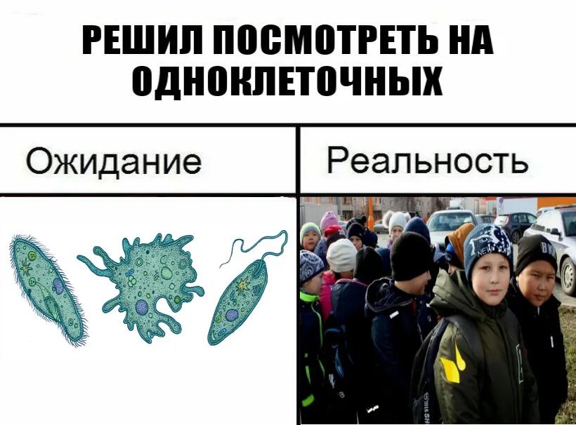 Мем без подписи