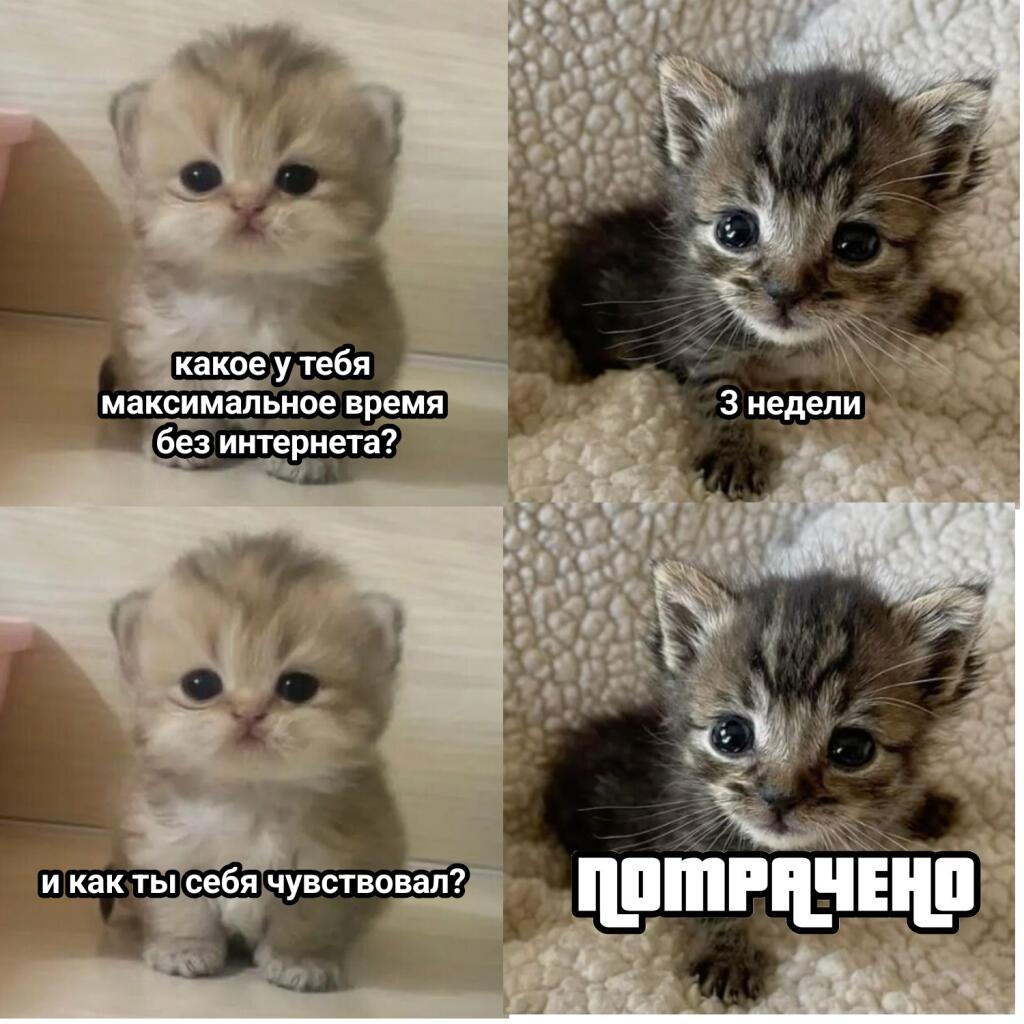 Идеальные идеи приходят по ночам