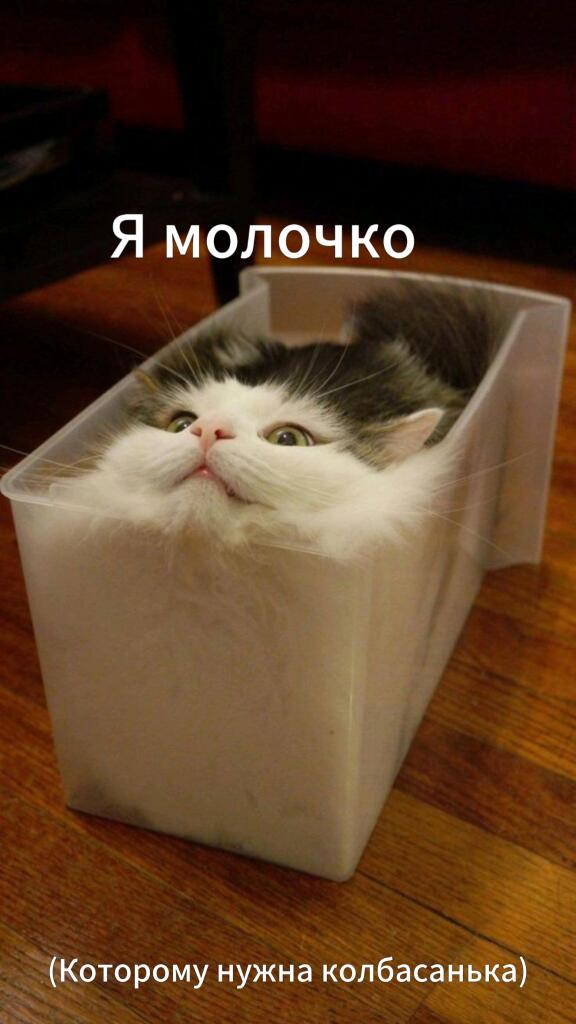 Мем от КотоЛЮБ