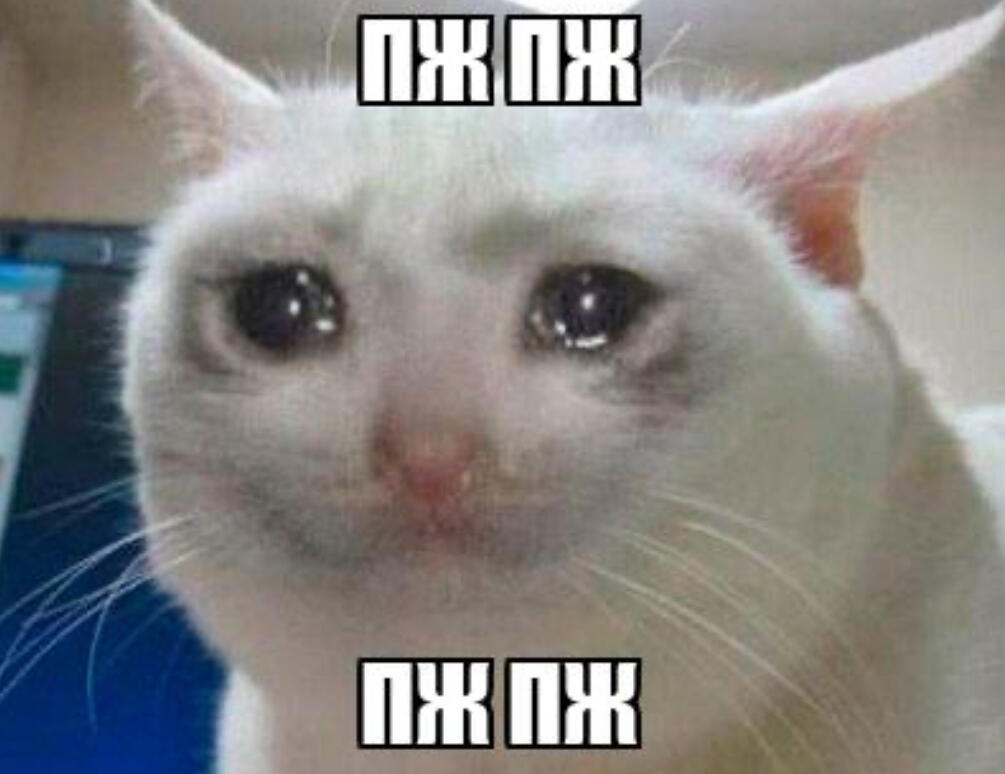 Я прошу 15 подписчиков: Люди: