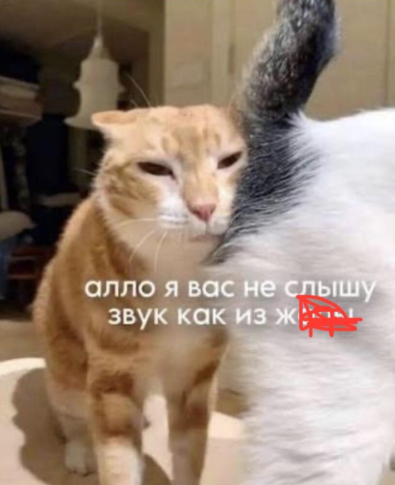 Мем от Лимон