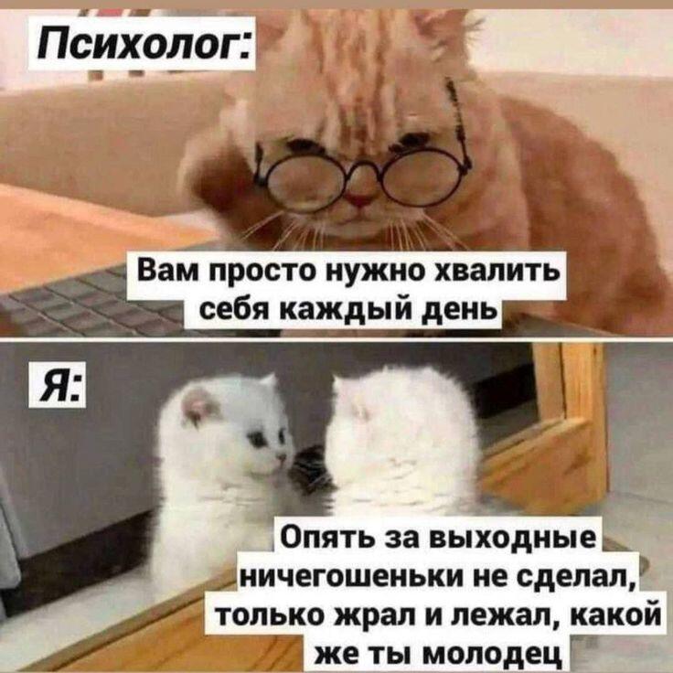 Как у вас Новый год прошел?