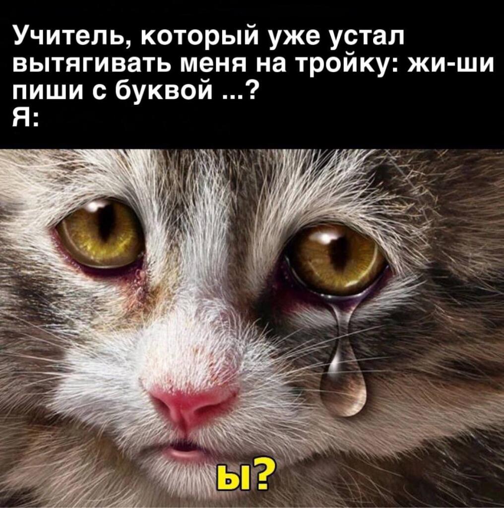 надеюсь вы хорошо закончили полугодие