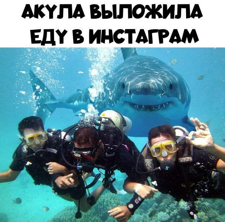 Мем от Essence