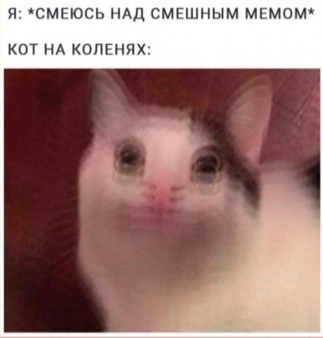 Мем без подписи