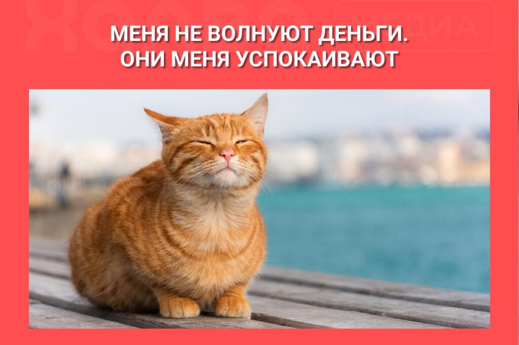 Мем без подписи