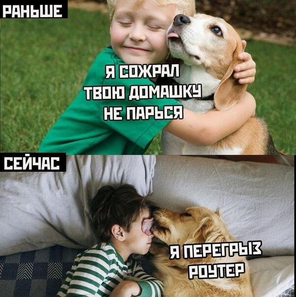 это жизнь