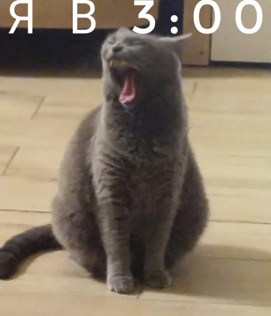 Я в 3:00 когда вставать в 5:00
