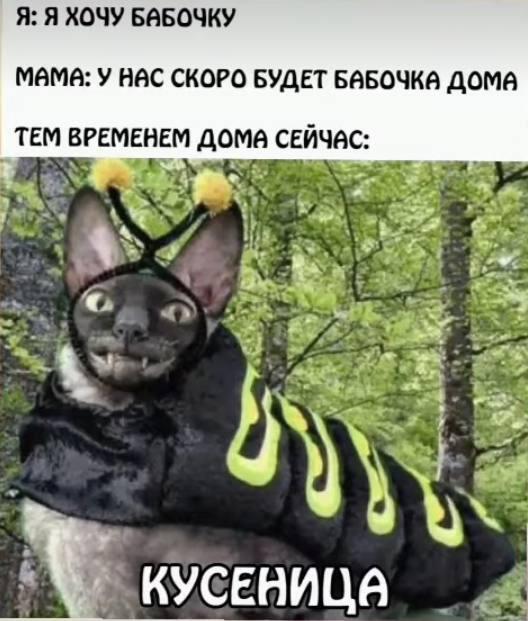 Мем без подписи