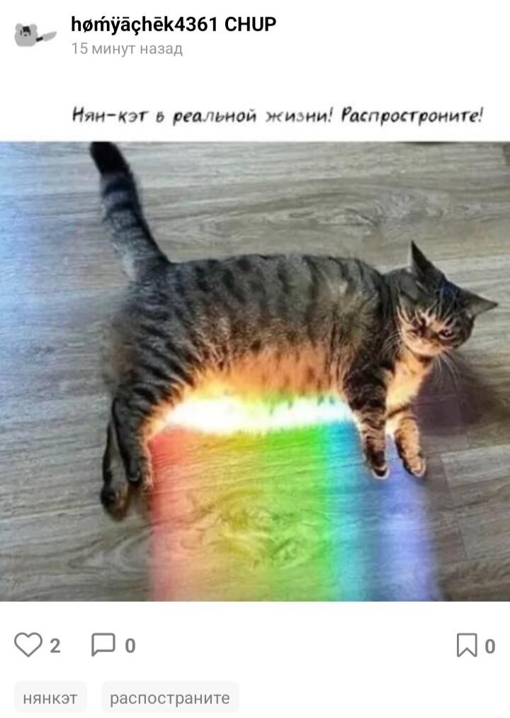 Распостраняю