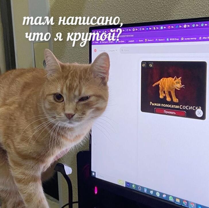 Мем от Сметана CHUP