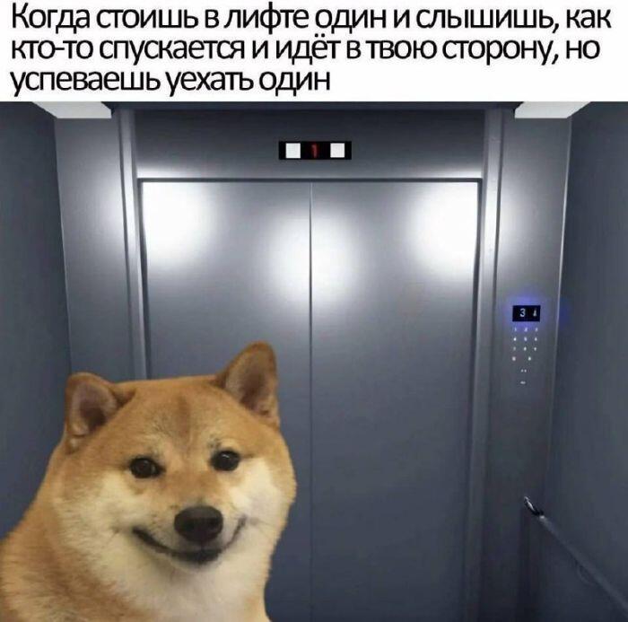 Мем без подписи