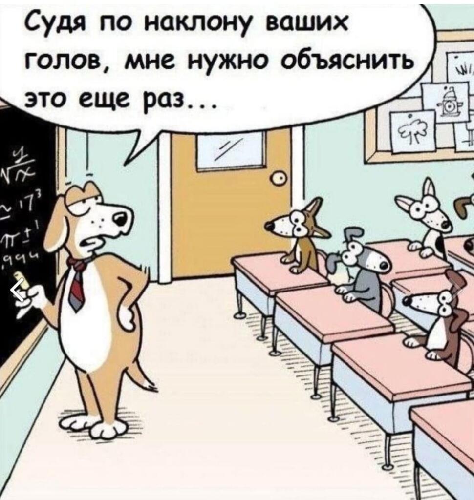 Учебный год начался мои собачки!