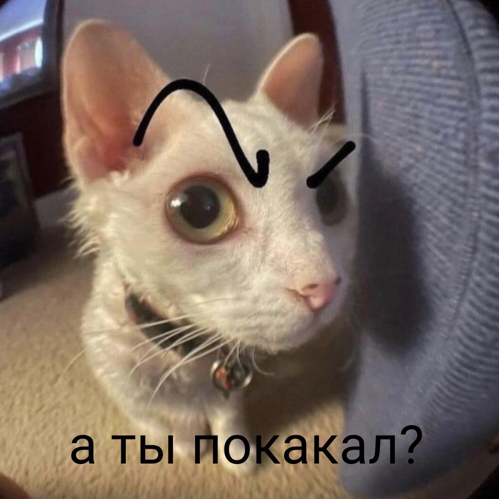 Я ожила 💥