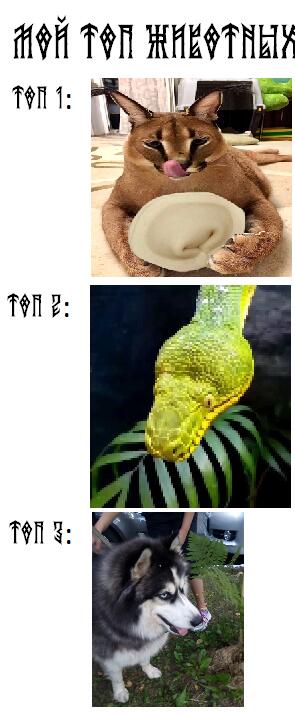Мем без подписи