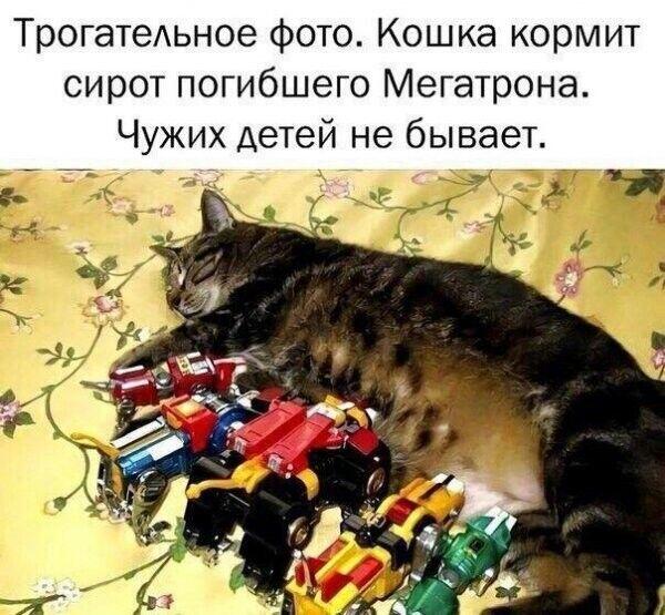Самая милая фотка, которую я сегодня видел