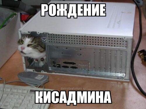 Только посмотрите на его милое личико🥹