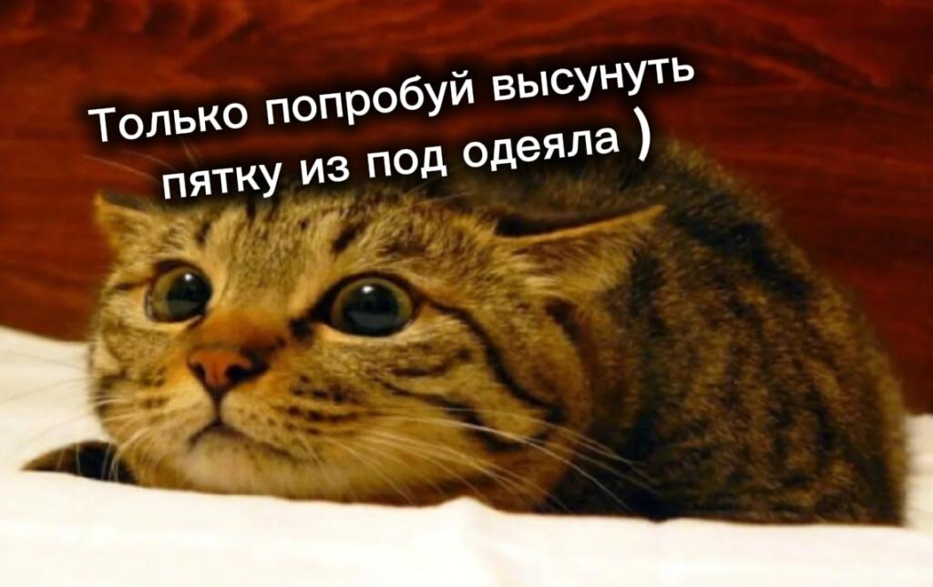 ㅤ
