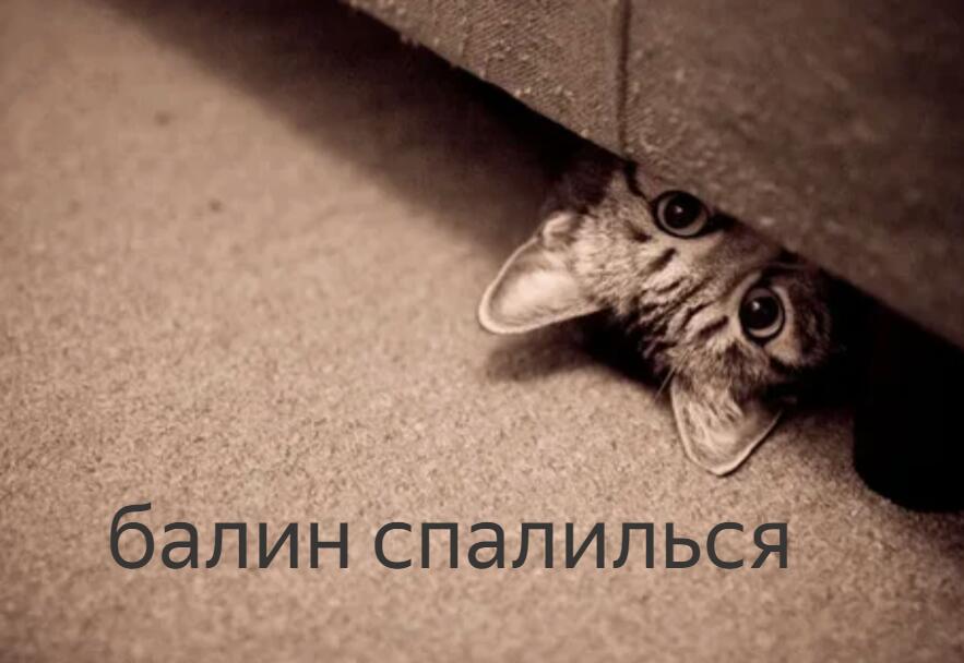 когда украл жевачку и слышишь на улице полицию: