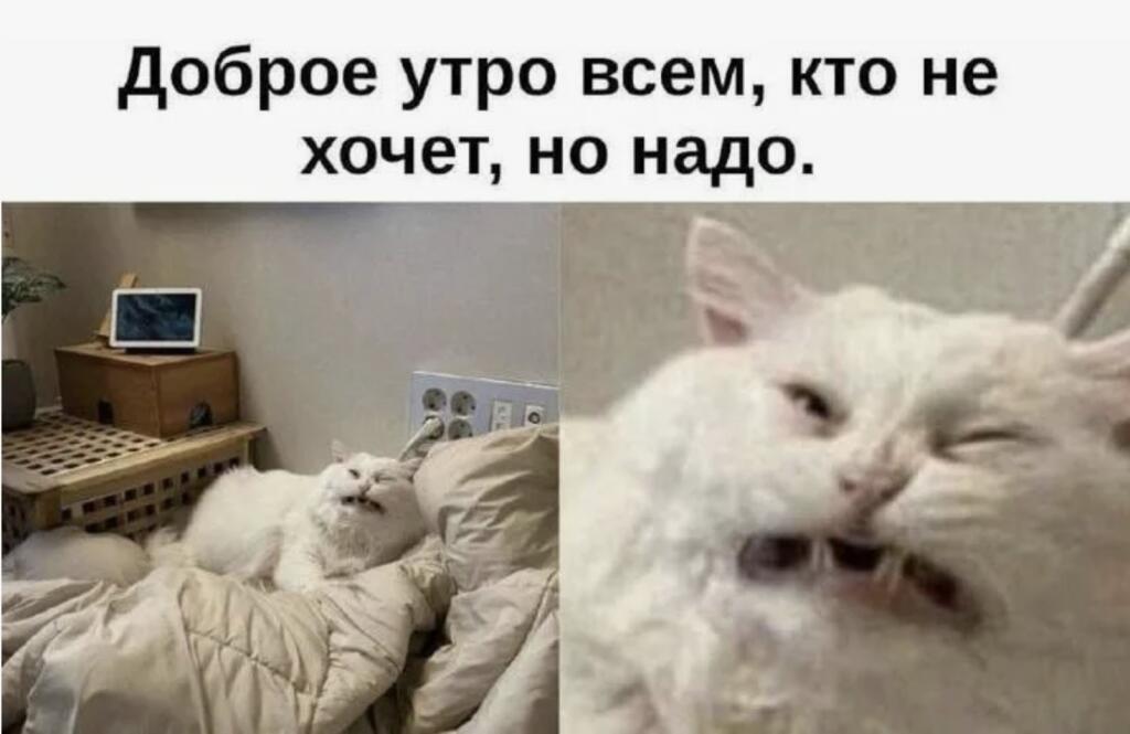 Мем от Сat_254