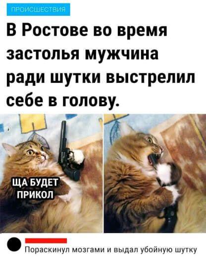Вот бы мне так