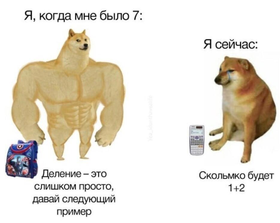 Мем без подписи