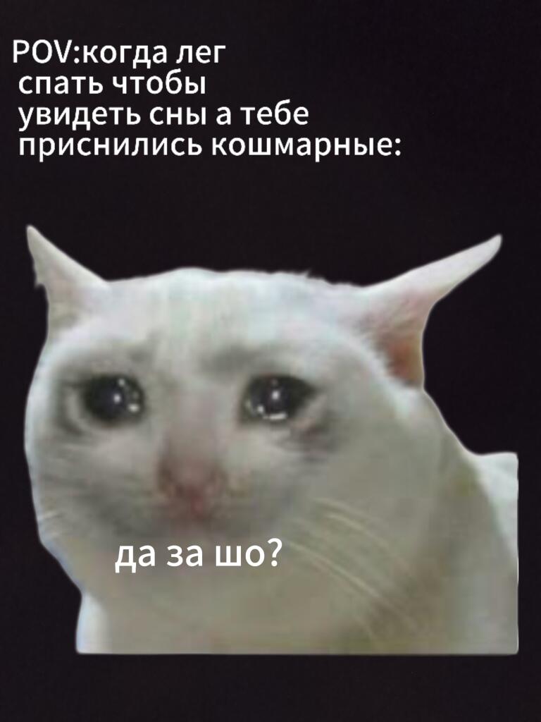 Когда лёг спать чтобы увидеть сны: