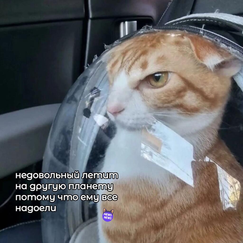 Мем от Бан до 01.01.3000