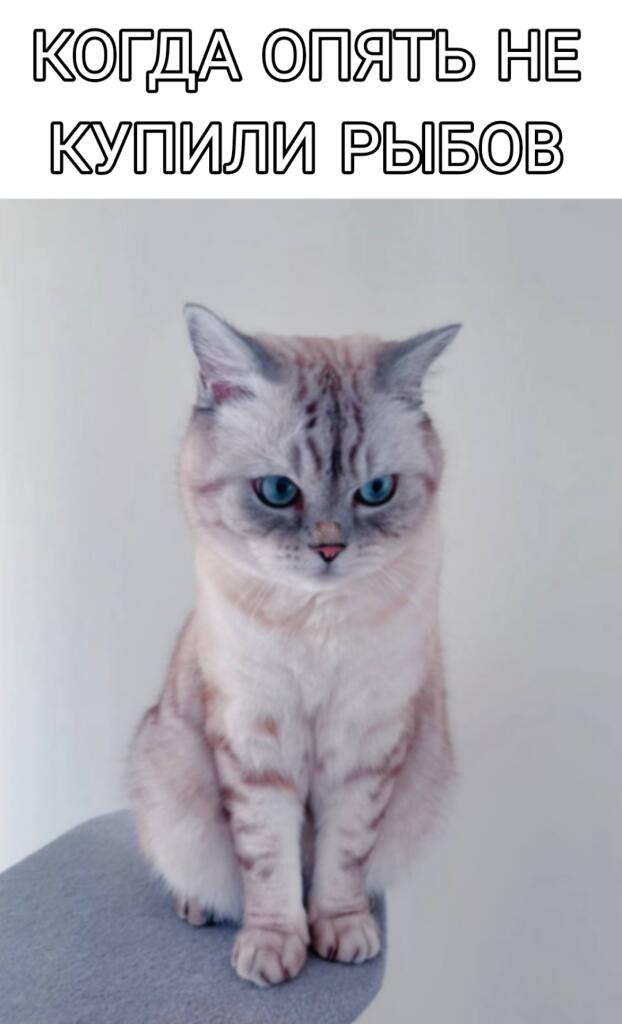 Мем от Коржик