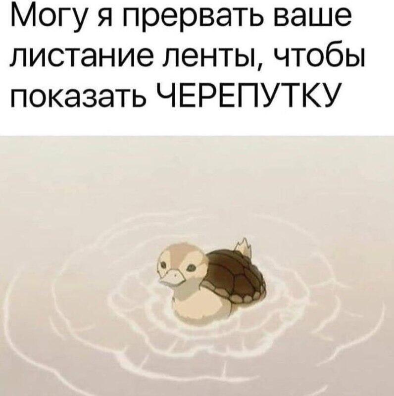 Мем без подписи