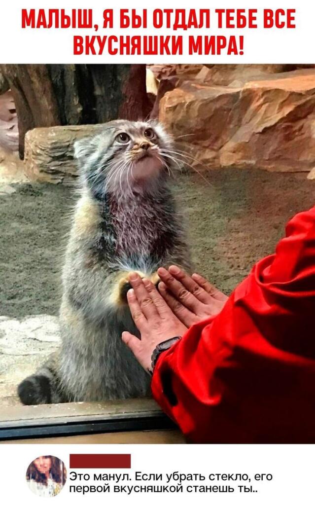 Мем без подписи
