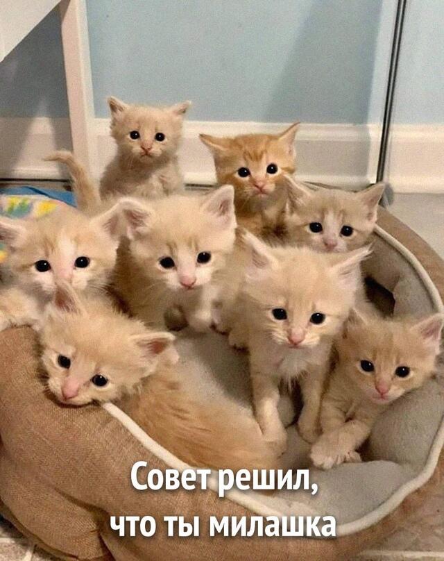 Мем от Лорд Чебурек