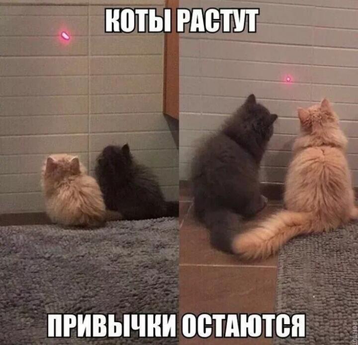 Привычка