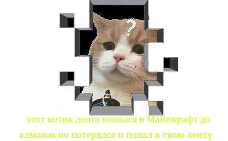Мем без подписи