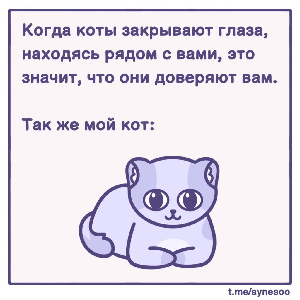 Жиза