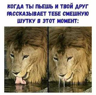 Жиза...